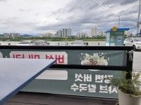 강변버섯샤브칼국수