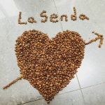 세라비커피바리스타학원