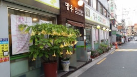 망우찜쌈밥 본점