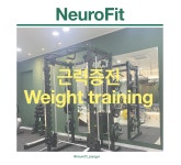 뉴로핏