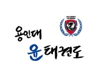 용인대윤태권도