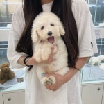 멍앤냥 강아지고양이 안양점