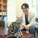 그레이스 고양이병원