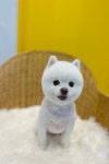 프리티우멍
