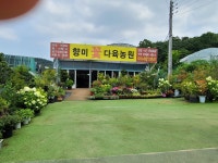 향미꽃다육농원