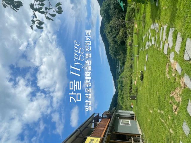감물휘게