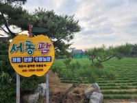서동팜