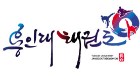 용인대태권도