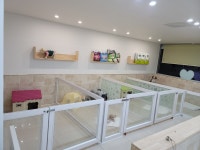 둘리애견미용샵