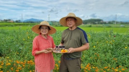 토마스농장 교육치유농장