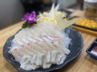 정수산회오징어