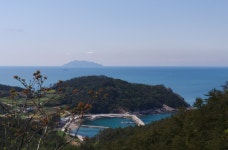 은행나무집 민박