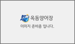 옥동양어장횟집