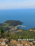 은행나무집 민박