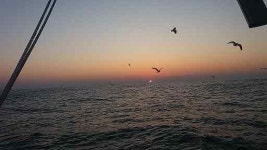방울네민박