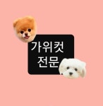 온리펫살롱
