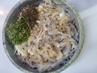 유쾌한 회 세꼬시 신동직영점