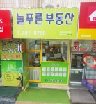늘푸른공인중개사사무소