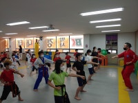 박사경희대태권도