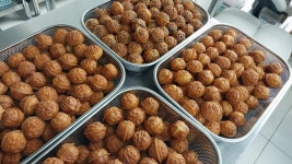 모모당 쌀 호두과자 전북남원 본점