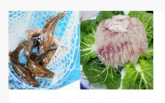 단양 강천쏘가리 매운탕 본점
