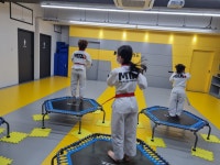 MTA태권도 팔용점