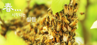 여주꿀벌농원