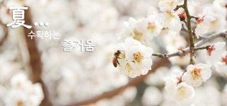 여주꿀벌농원