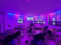 허니점핑다이어트