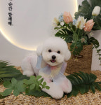 콩찌네미용실