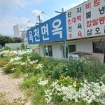 옥천면옥