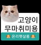 온리펫살롱