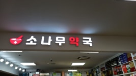 소나무약국