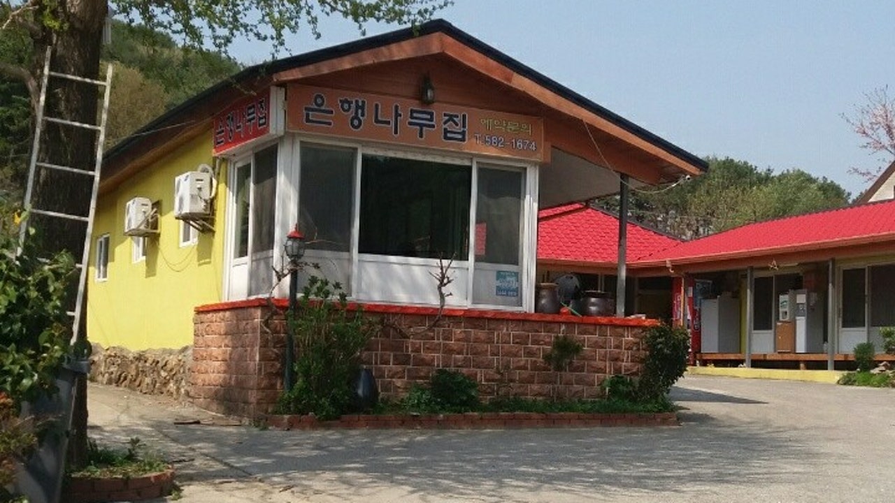 은행나무집