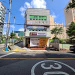 치후 치킨은후라이드 일산탄현점