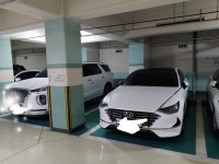 뉴가나다렌트카 일산동구 백석점