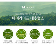 마이라이프코리아