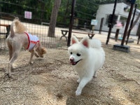 개스트하우스