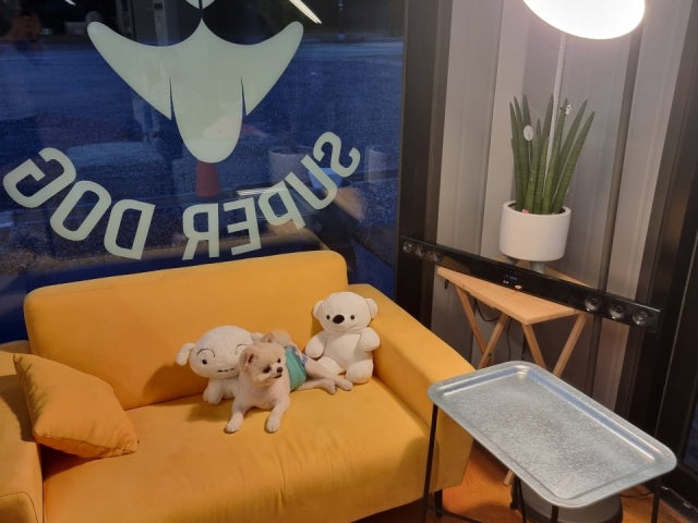슈퍼독