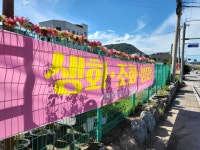 꽃집춘천동네꽃화원