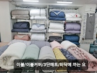 이불집언니