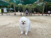 개스트하우스