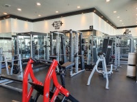 바운스 피트니스