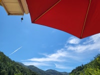 낮달사과농장&카페