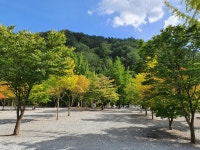 두산분교캠핑장