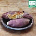 팜코리아친환경영농조합법인