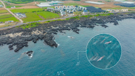 스테이디앤디 풀빌라 앤 리조트