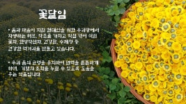 꽃달임