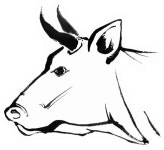 문일한우촌 오크벨리점