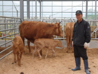 문일한우촌 오크벨리점